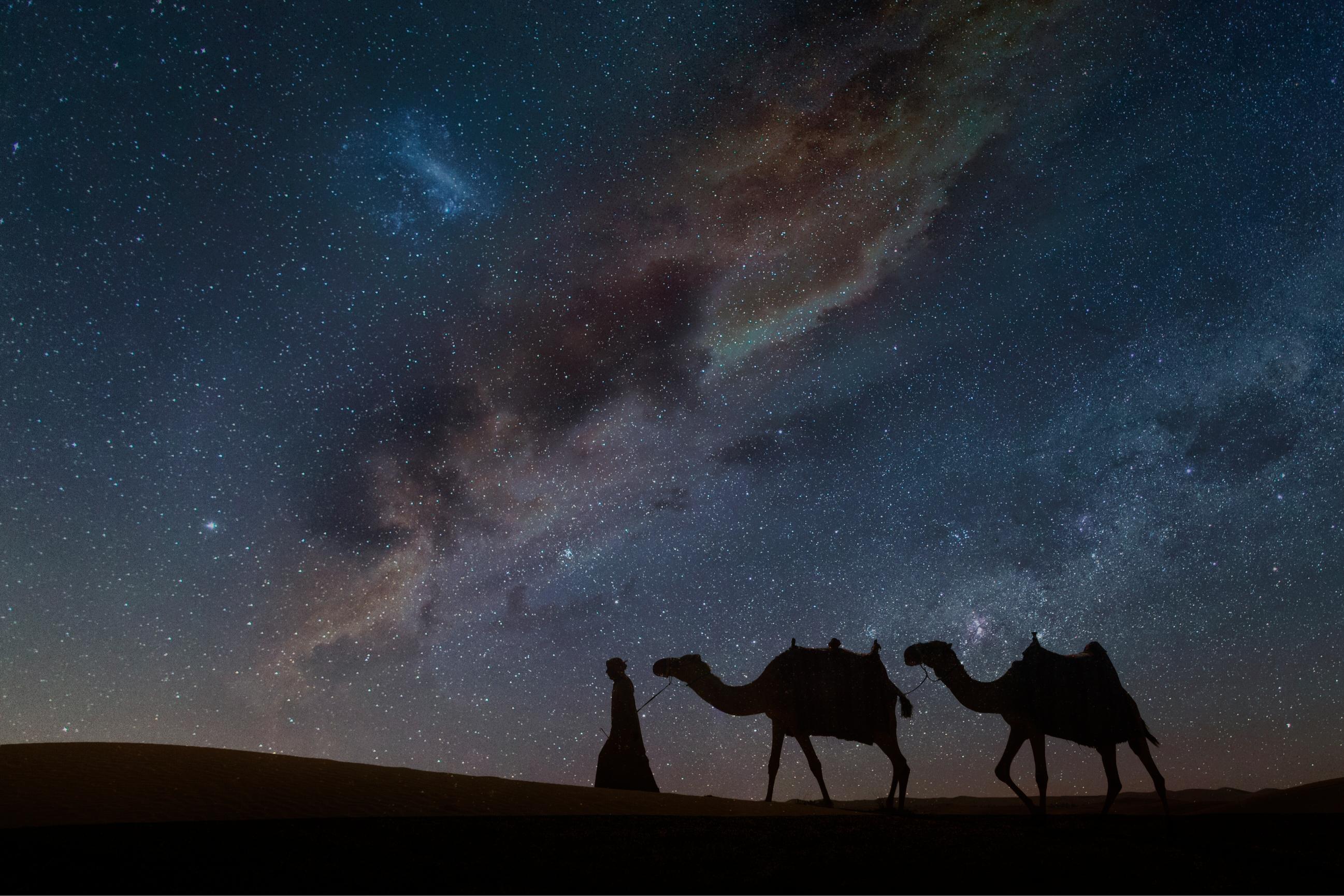 Camping in Egypt