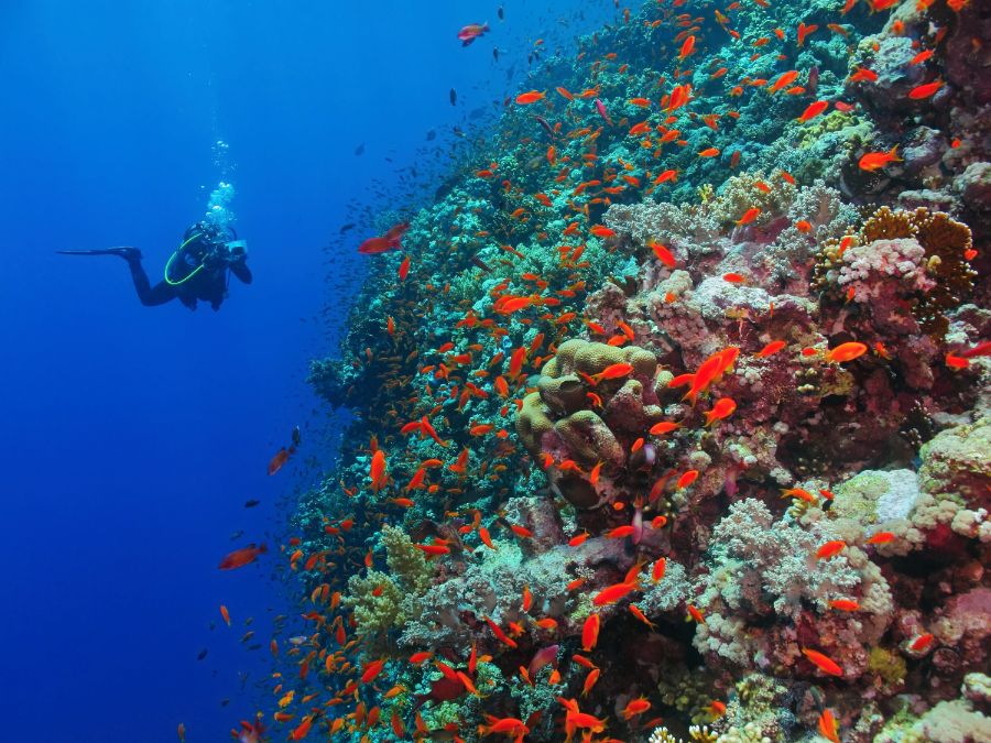 Egypt National Parks are a Glimpse of Heaven on Earth