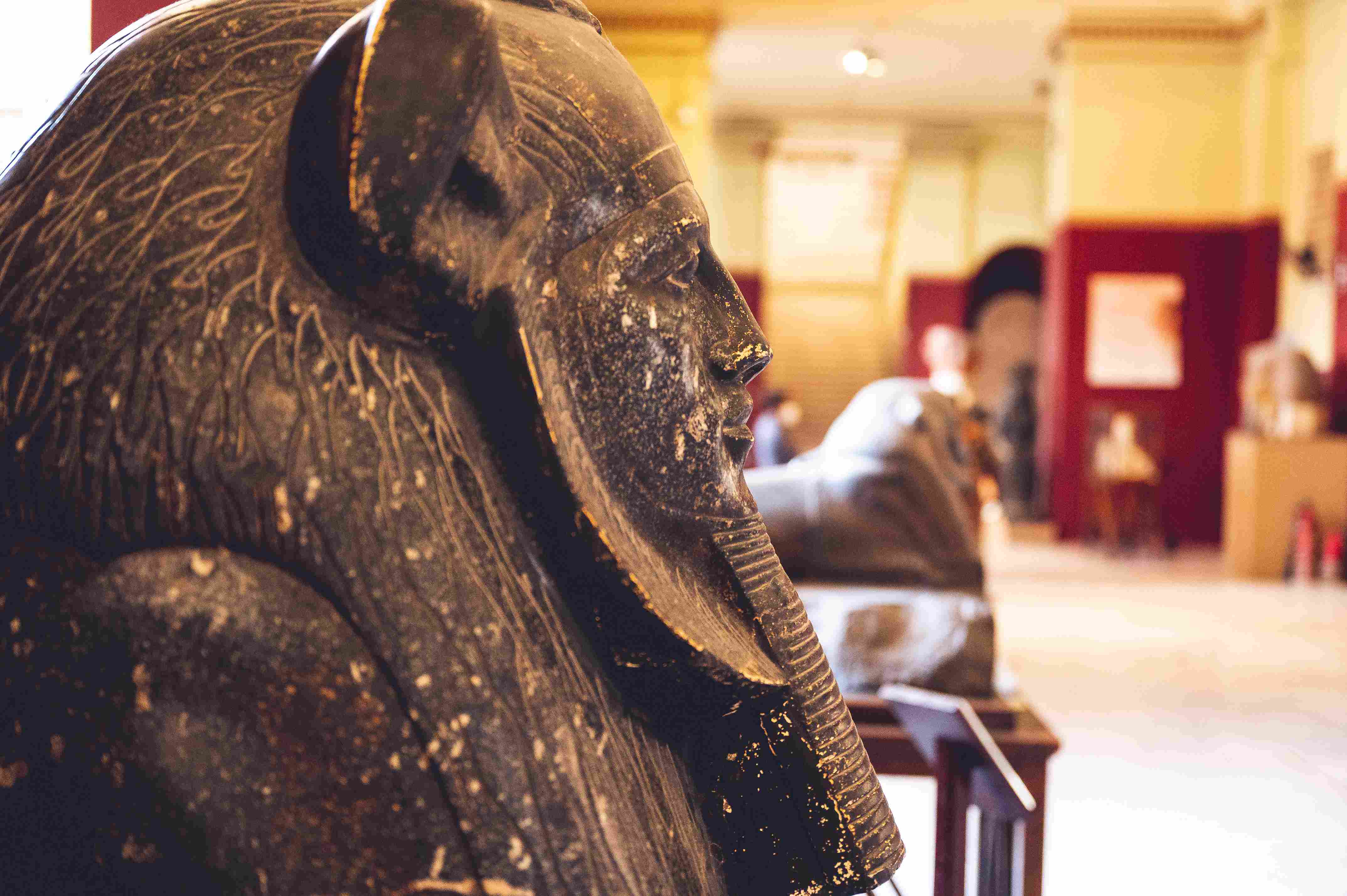 Egyptian Museum Cairo