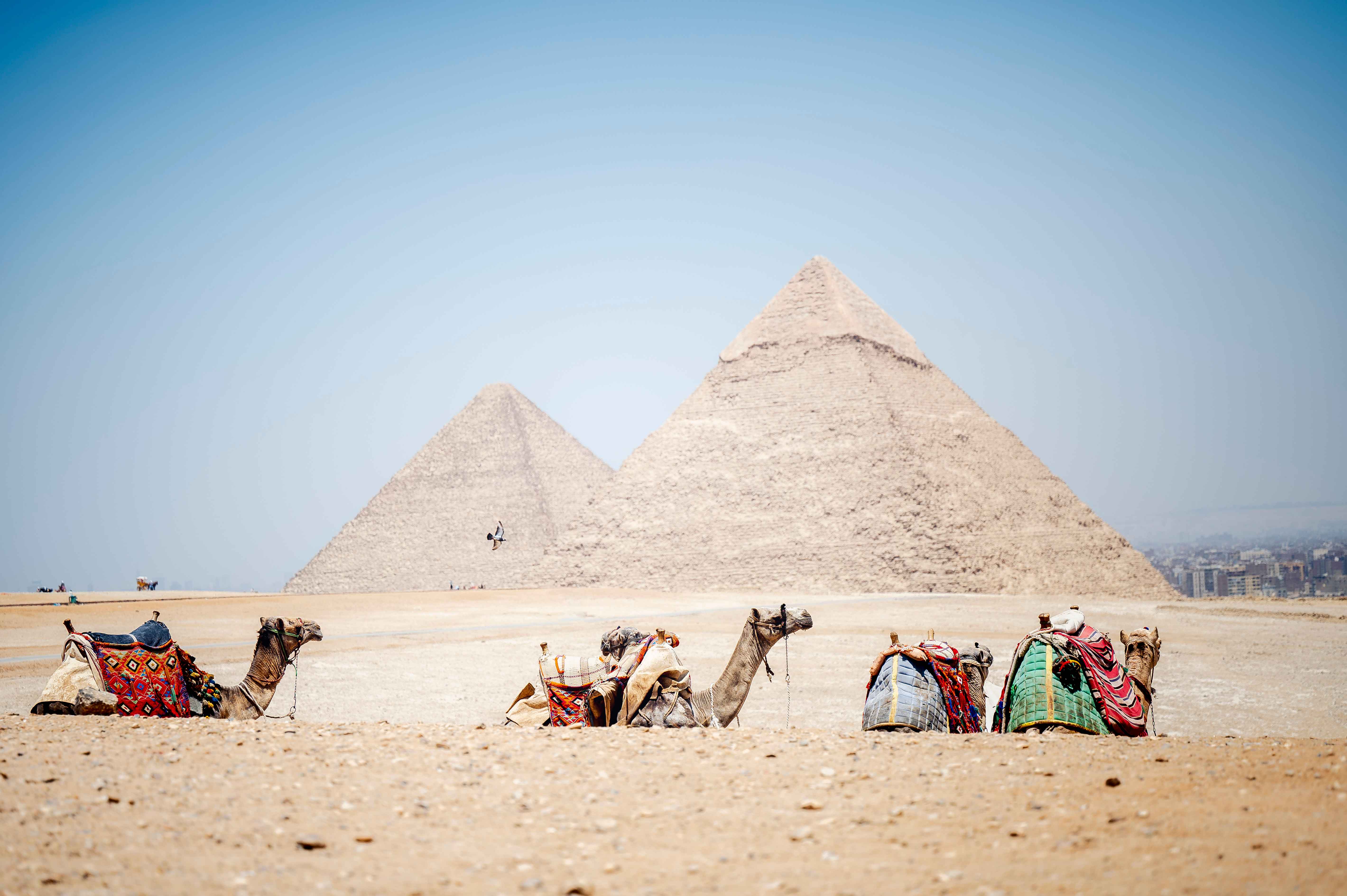 Pyramids and Camel Ride