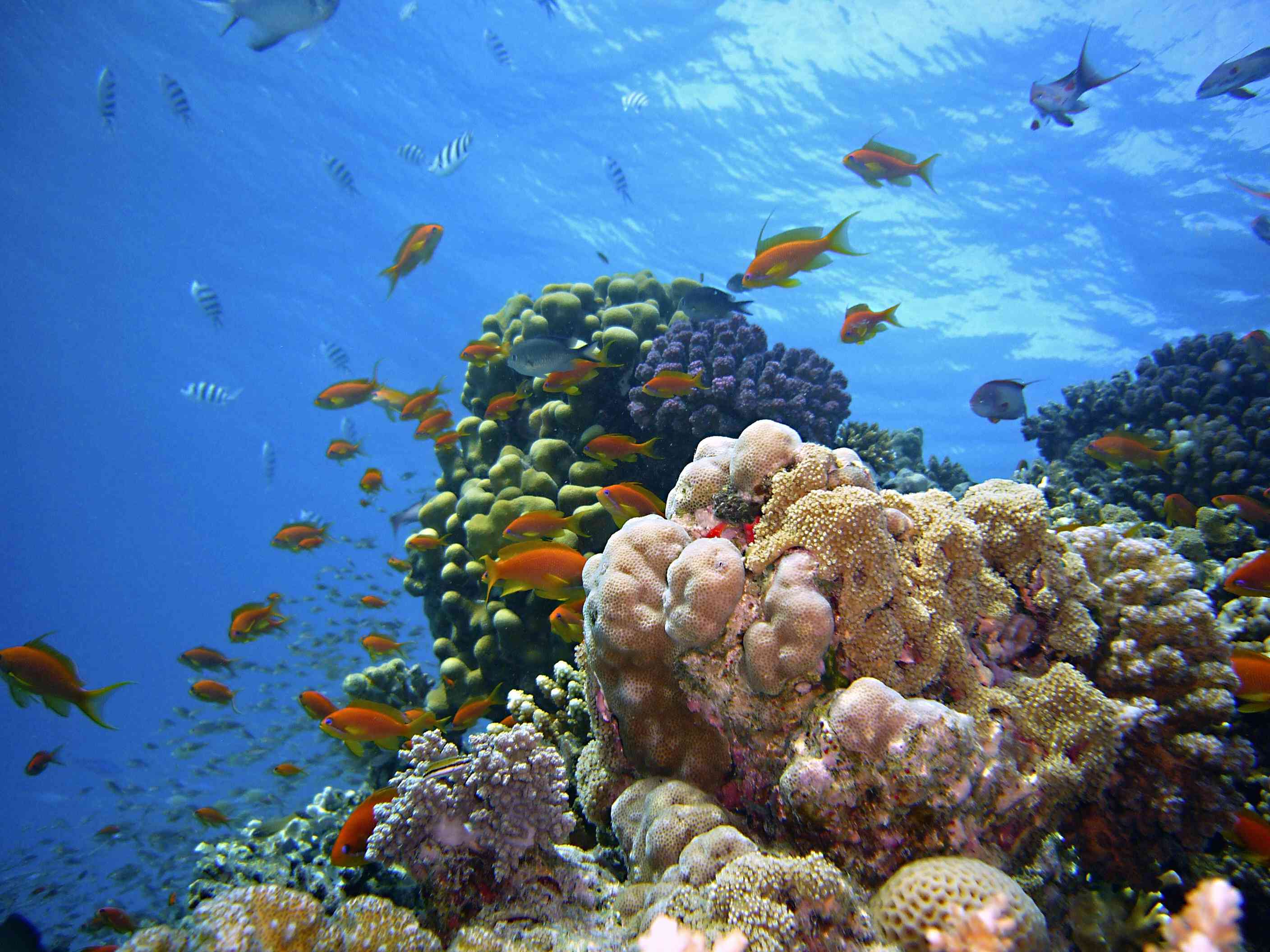 Underwater