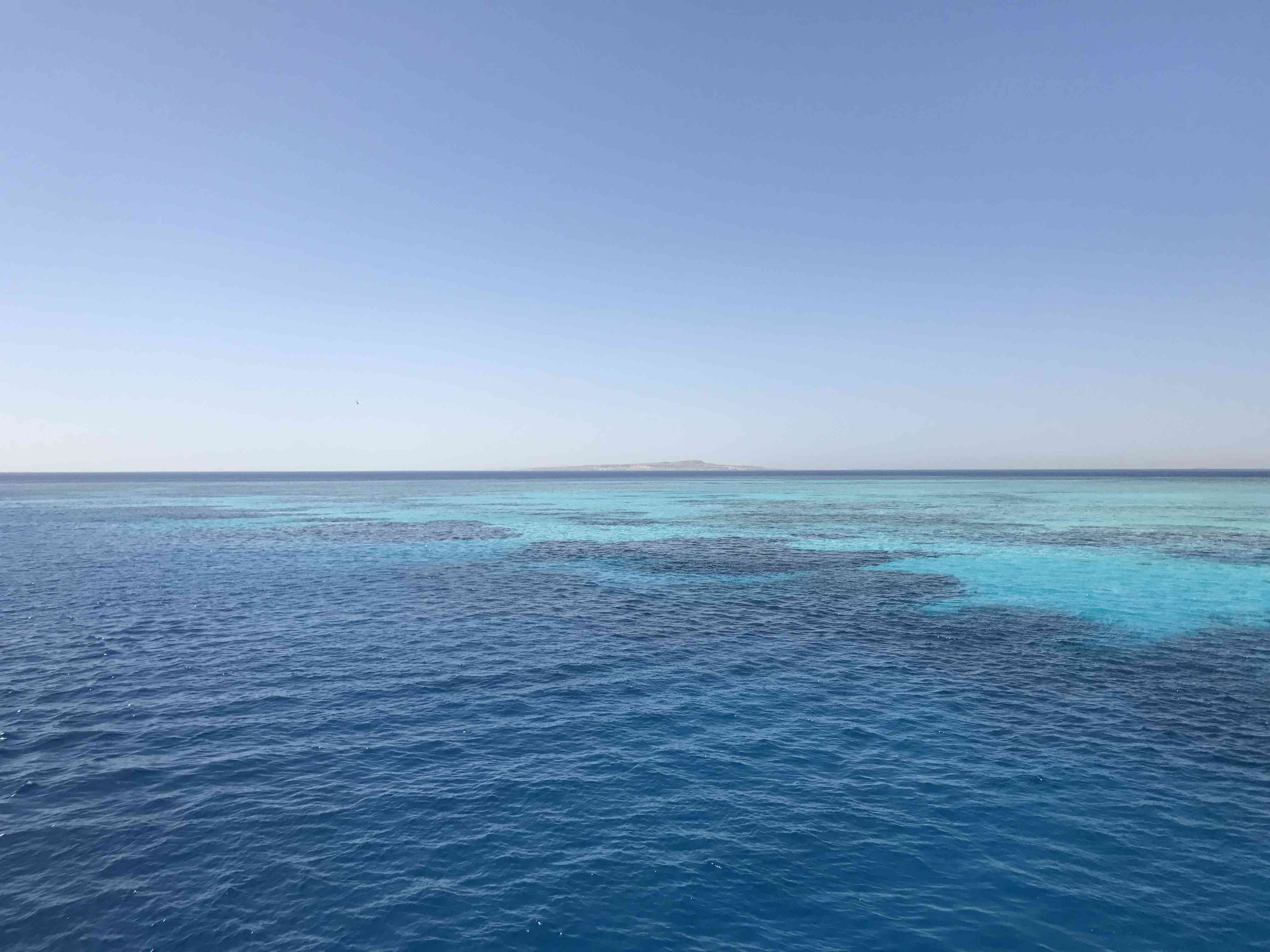 Red Sea