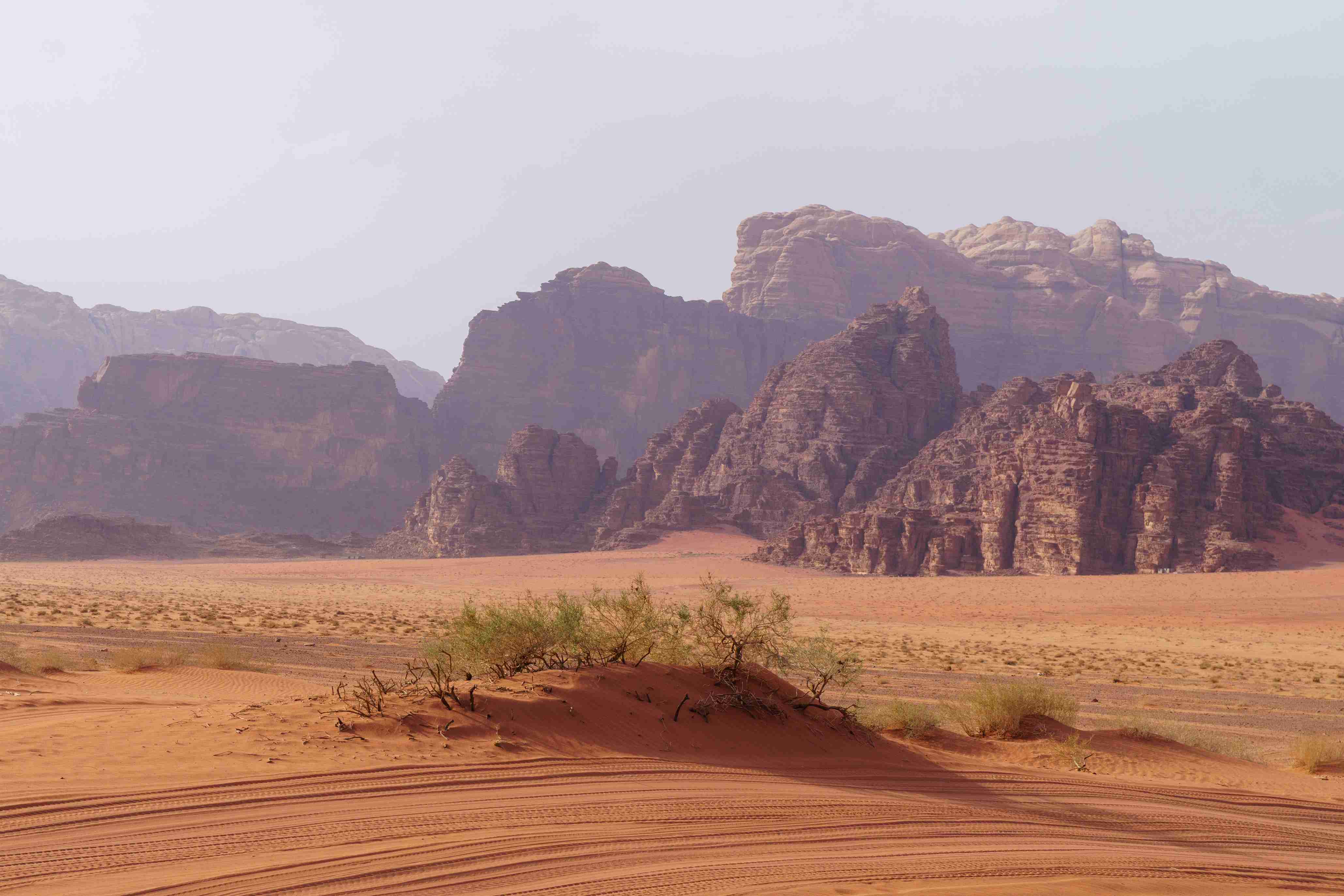 Wadi Rum Protected Area