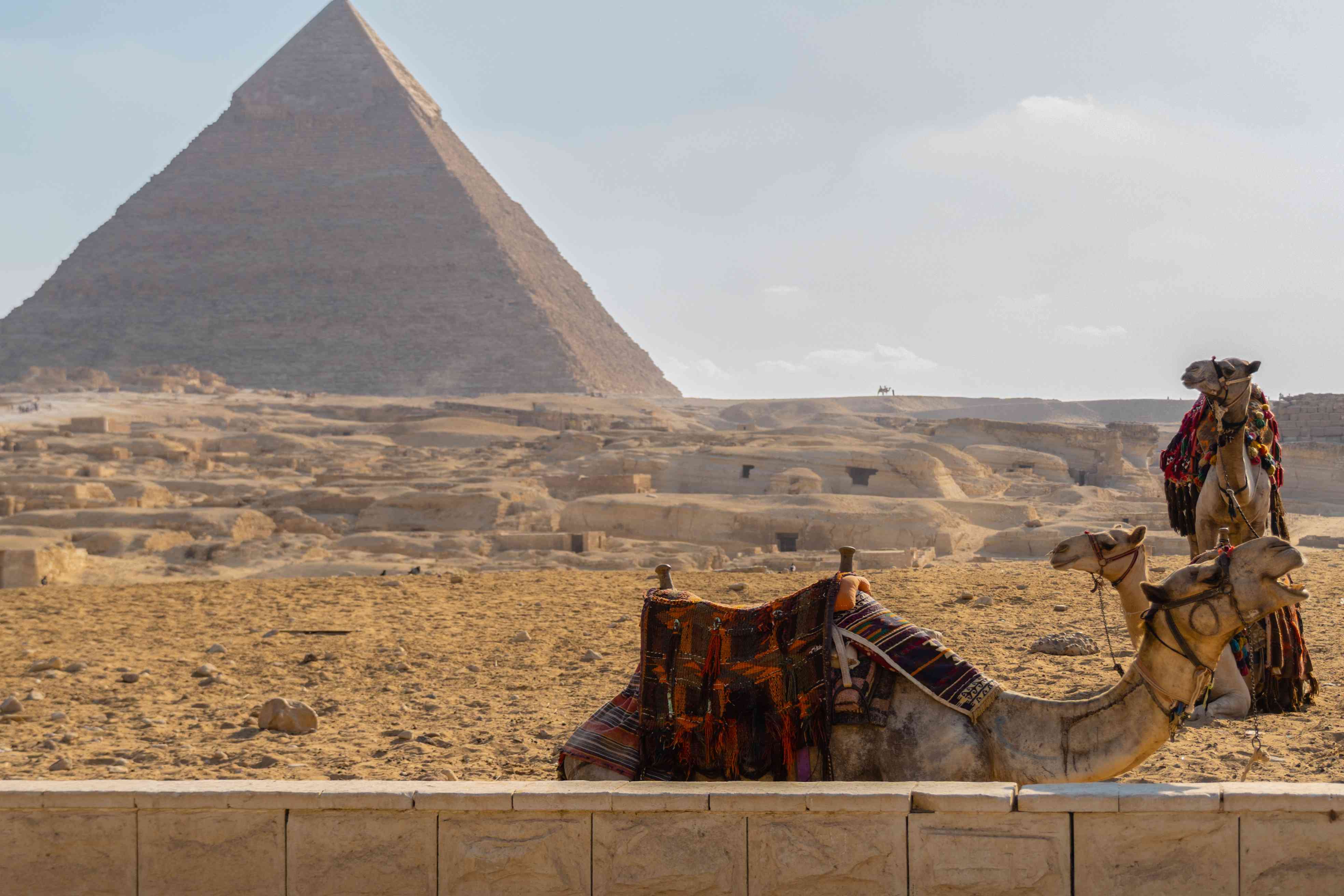 Pyramids and Camel